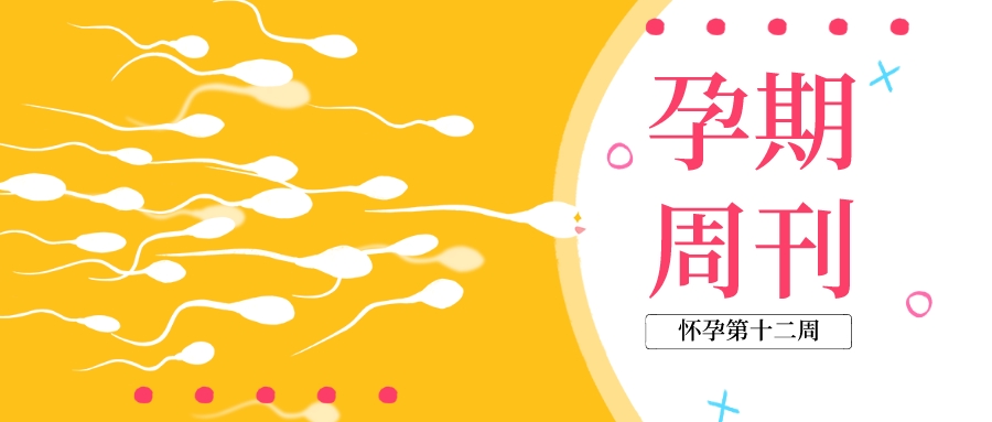 孕期周刊 | 懷孕“第十二周”注意事(shì)項